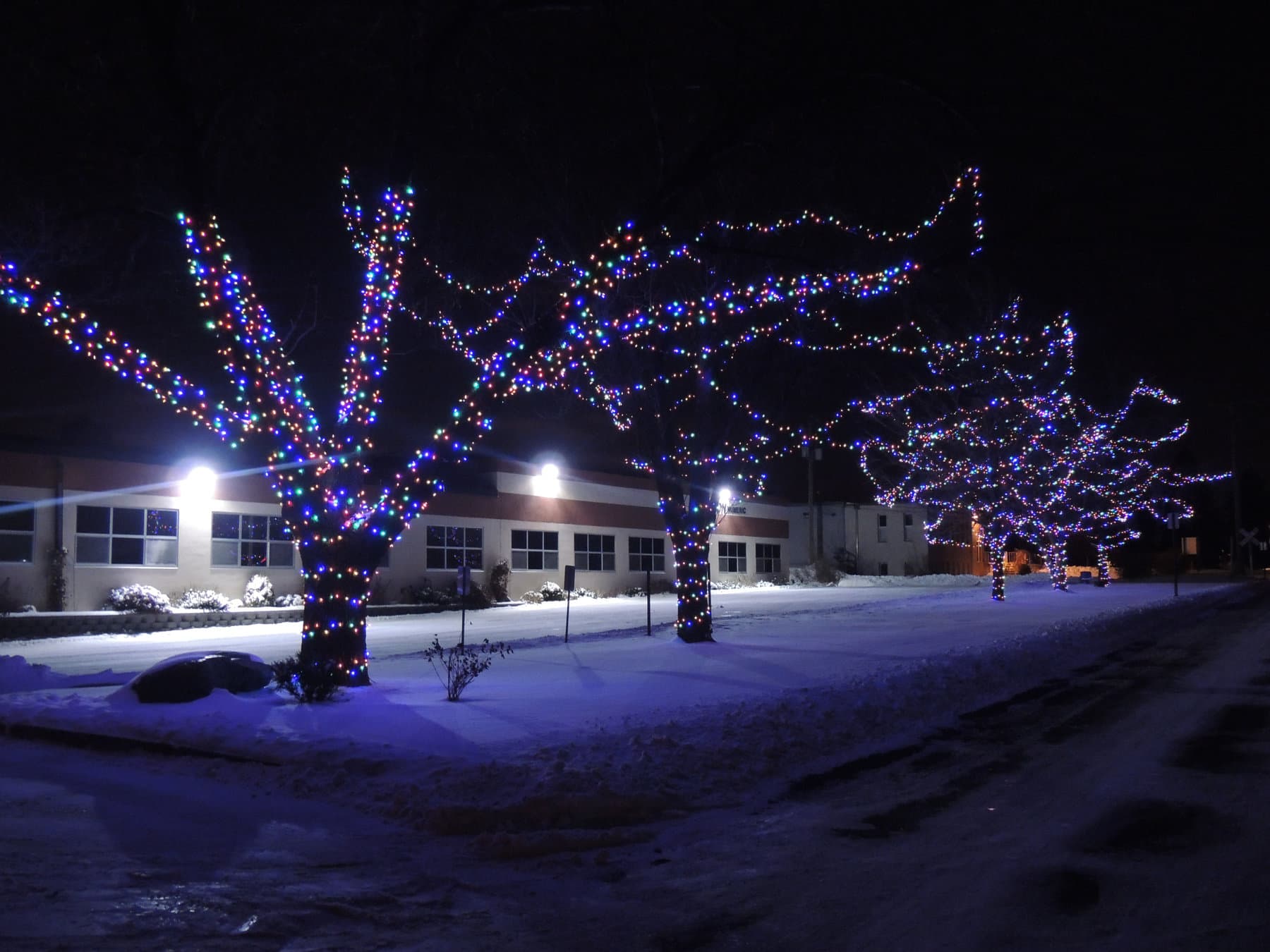 Multi-Color LED Trees, Minneapolis, MN