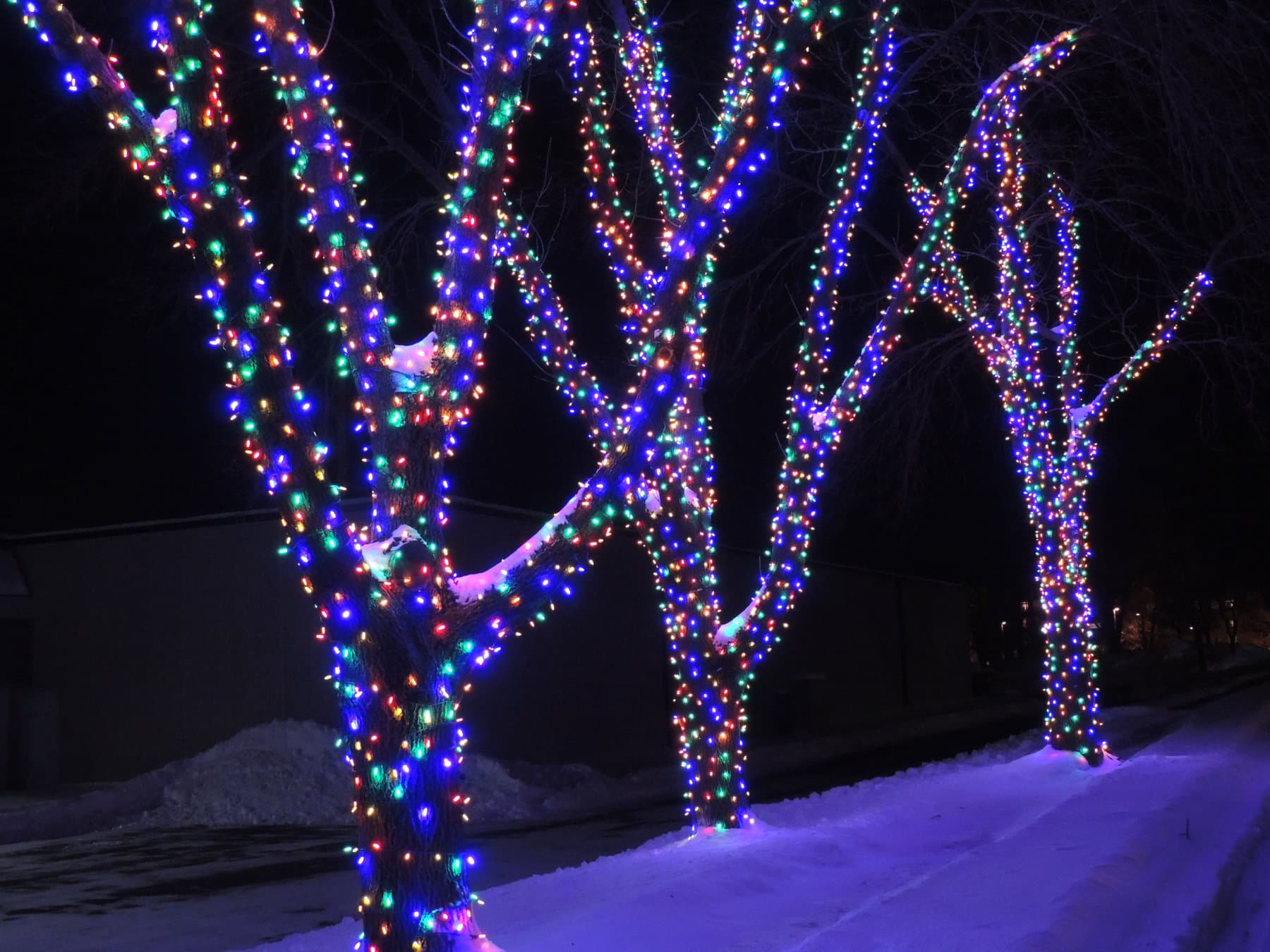 Multi-Color LED Trees, Minneapolis, MN