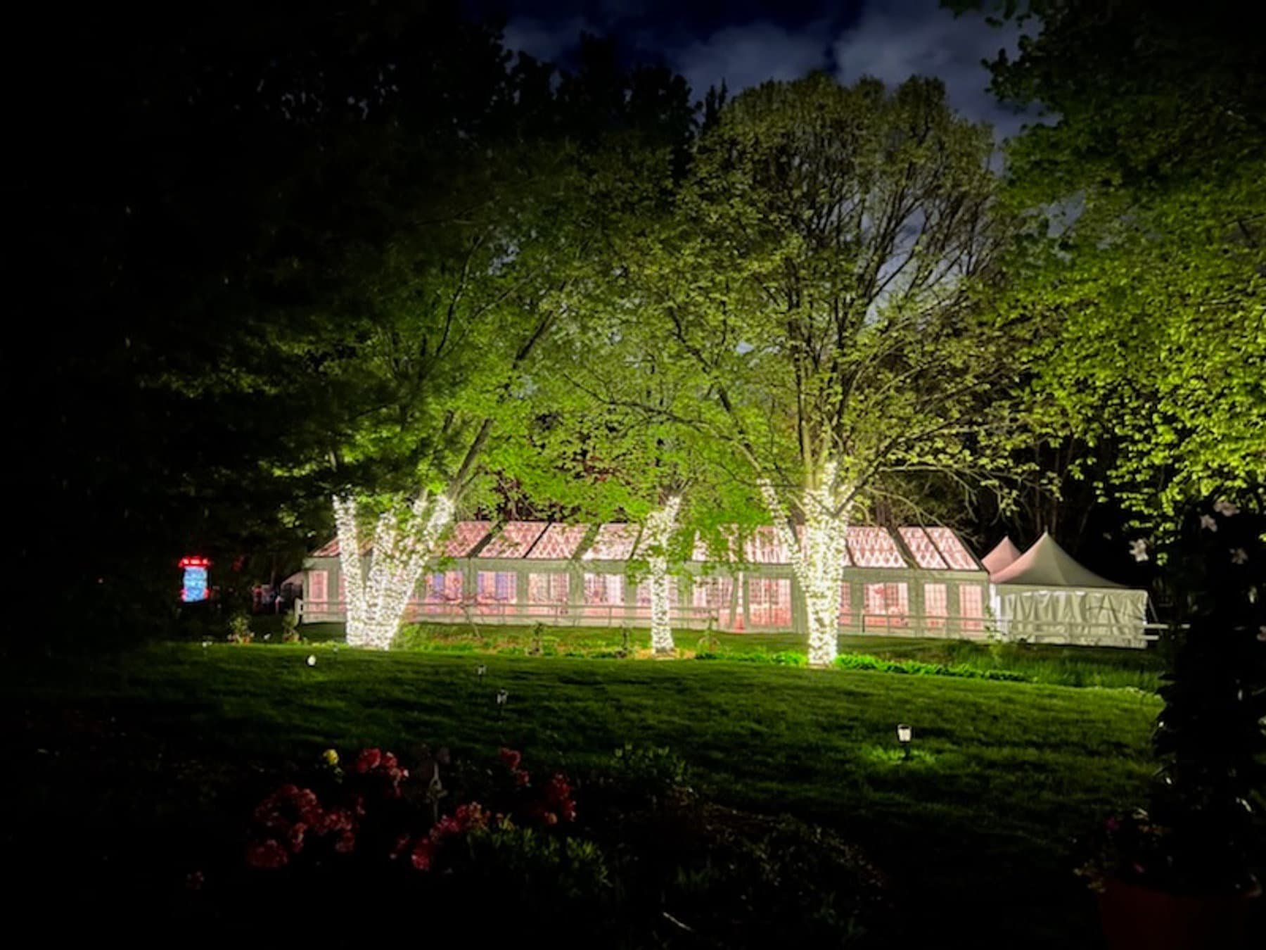 Backyard Wedding, Inver Grove Heights, MN